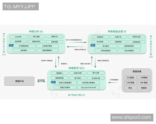深圳排球队区域防守创新之路探索与实践分析 深圳排球队区域防守创新之路探索与实践分析